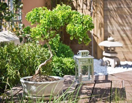 Décoration du jardin sur Jardindeco